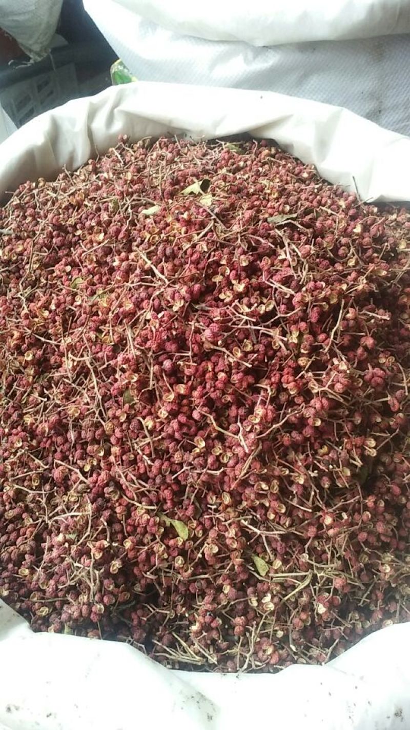 花椒一级干