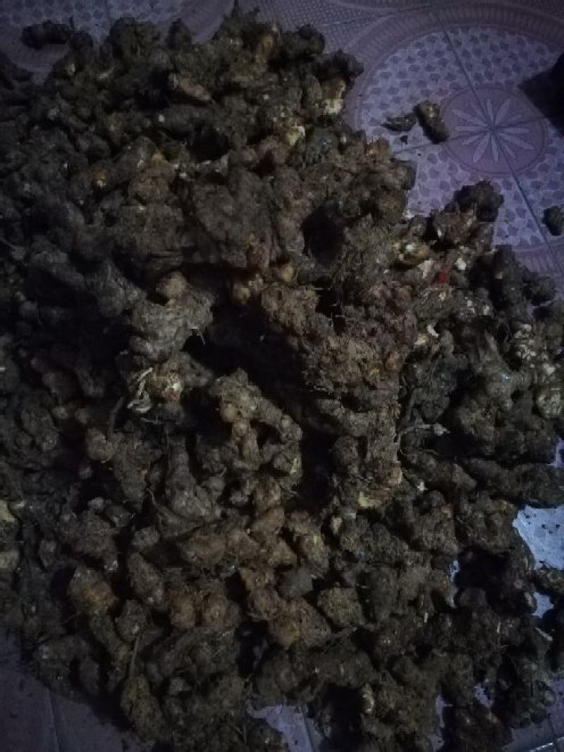 土茯苓统个