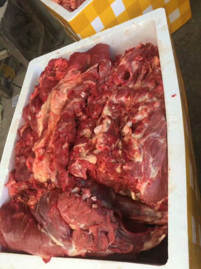 【精品】马肉鲜货货量充足，量大从优货量充足欢迎选购！