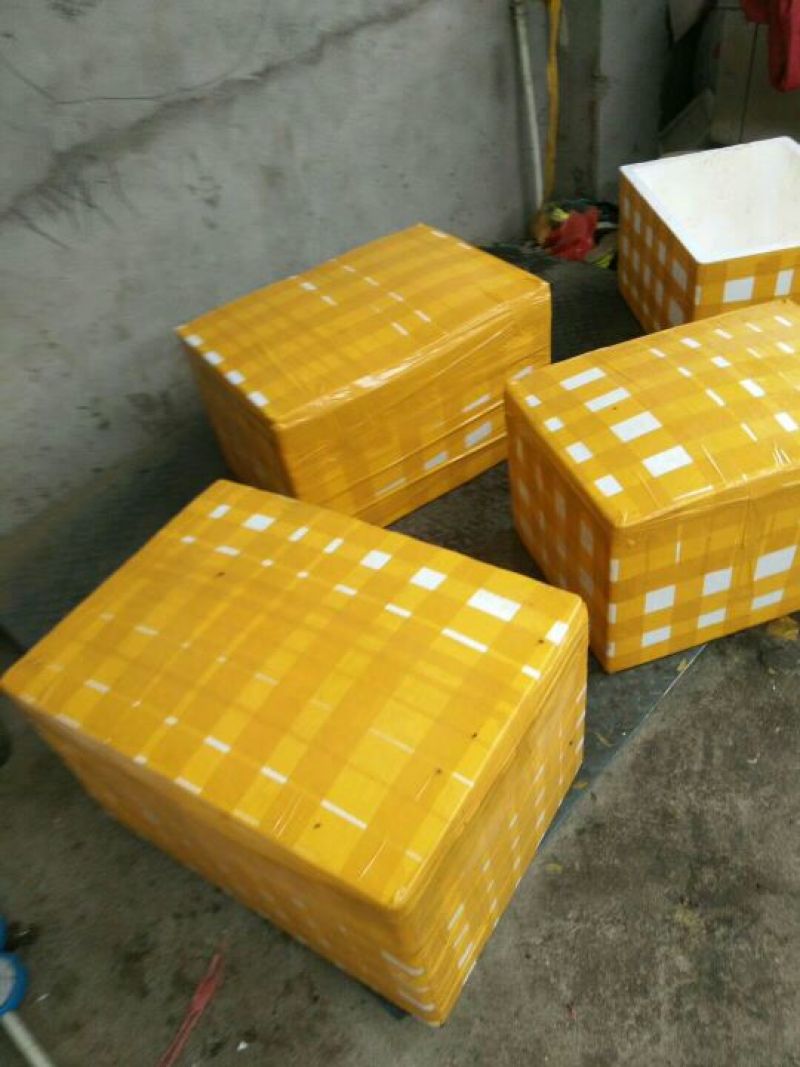 【精品】马肉鲜货货量充足，量大从优货量充足欢迎选购！