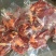 【精品】马肉鲜货货量充足，量大从优货量充足欢迎选购！