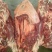 【精品】马肉鲜货货量充足，量大从优货量充足欢迎选购！