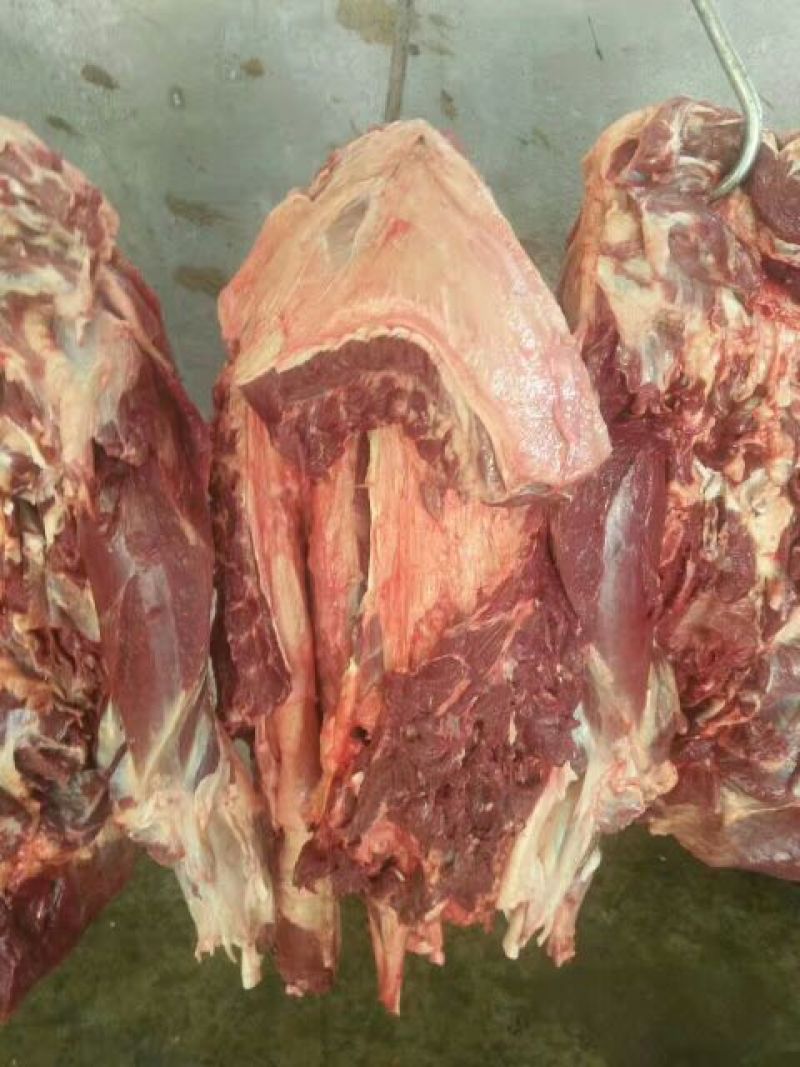 【精品】马肉鲜货货量充足，量大从优货量充足欢迎选购！