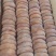 柿饼1~2两