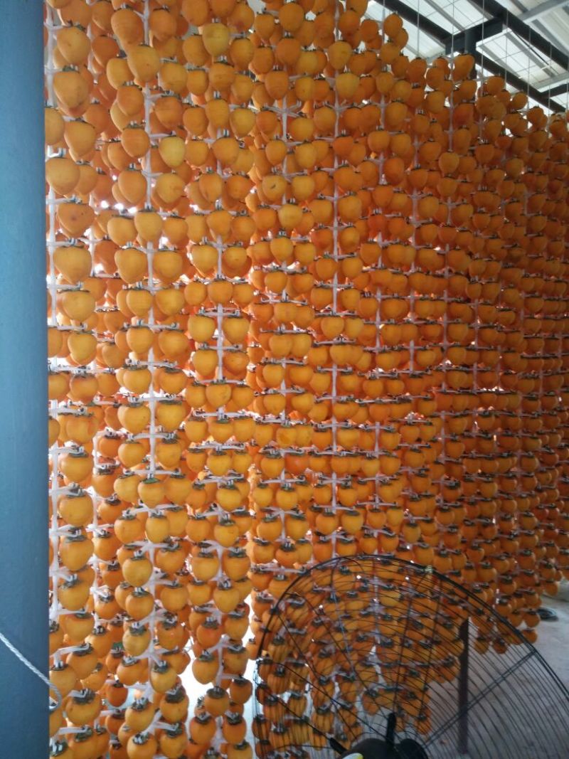 柿饼1~2两