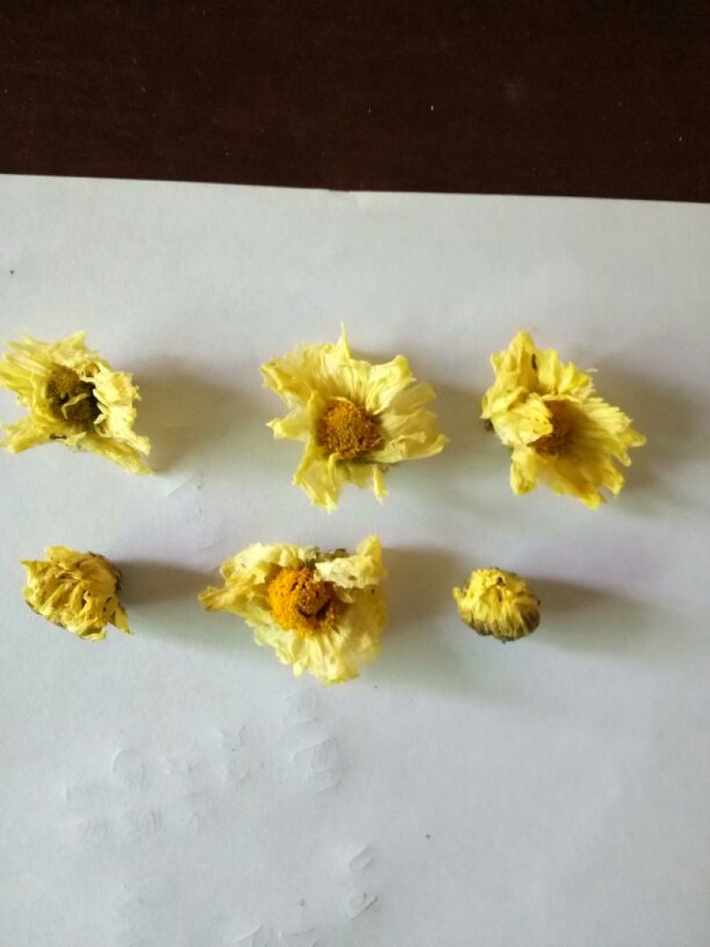 菊花茶一级
