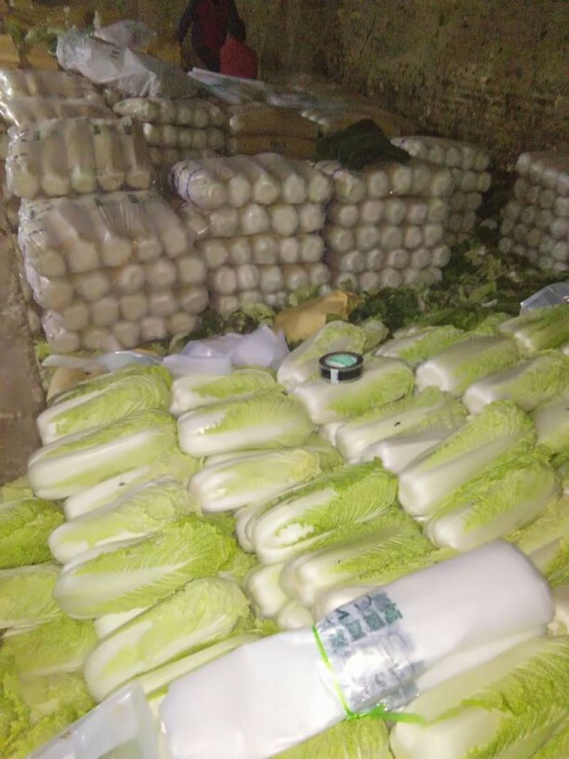 北京三号白菜黄心大白菜，产地直供一手货源