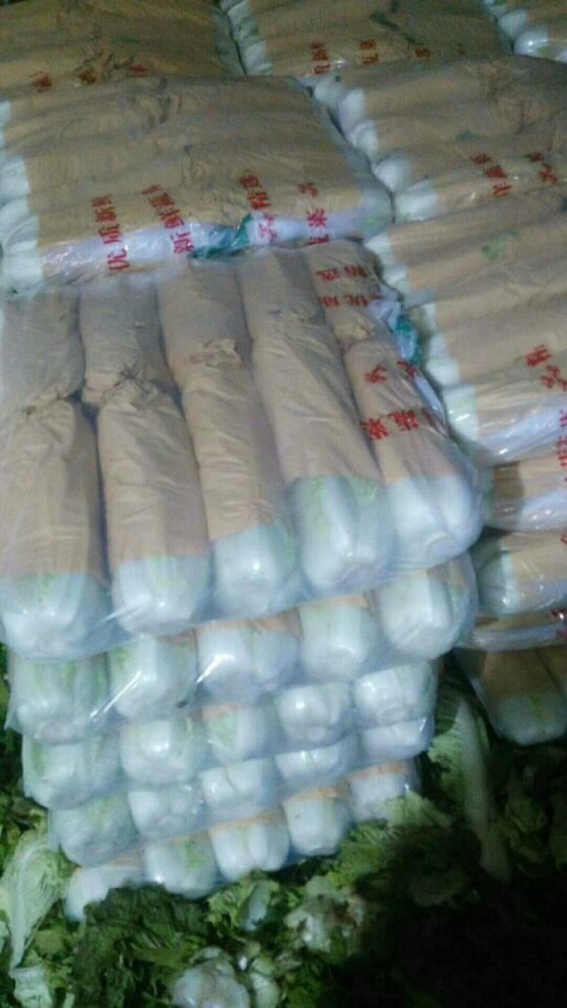 北京三号白菜黄心大白菜，产地直供一手货源