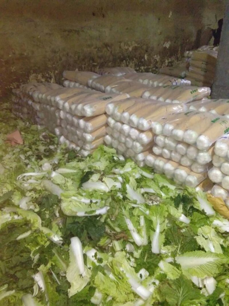 北京三号白菜黄心大白菜，产地直供一手货源
