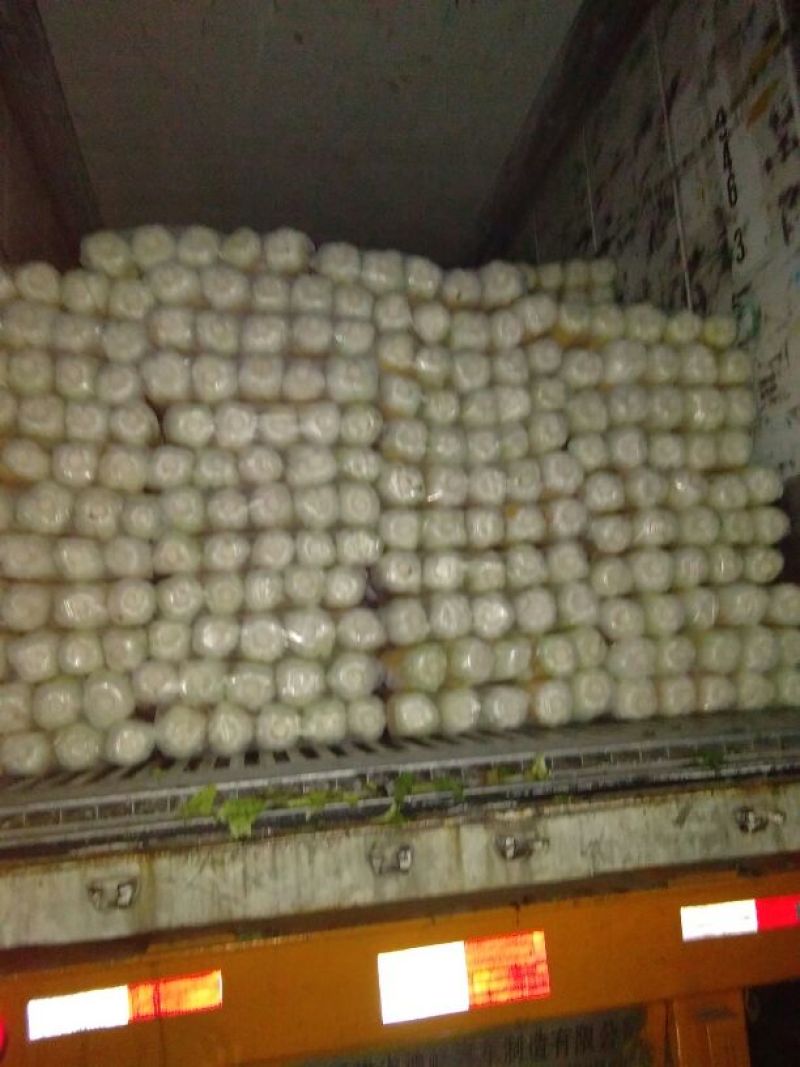 北京三号白菜黄心大白菜，产地直供一手货源