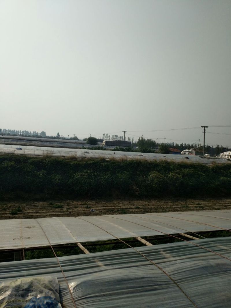 沙地10~100亩10~30年合作