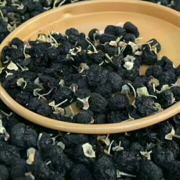 黑枸杞干货头茬