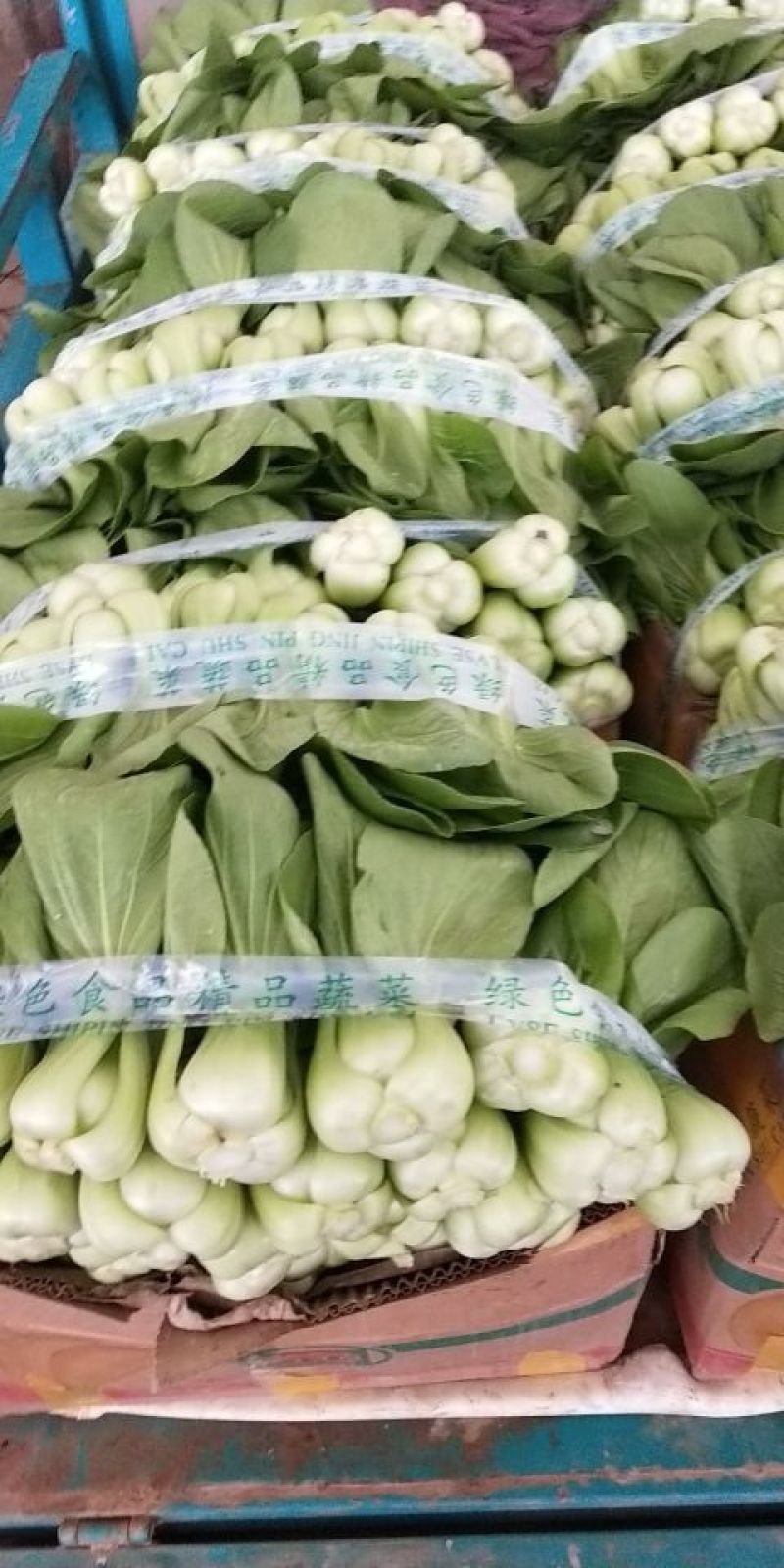 油菜3两以上