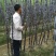 黑皮甘蔗基地直选甜度高包甜！有便宜回头车提供一条龙服务