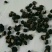 黑枸杞干货头茬