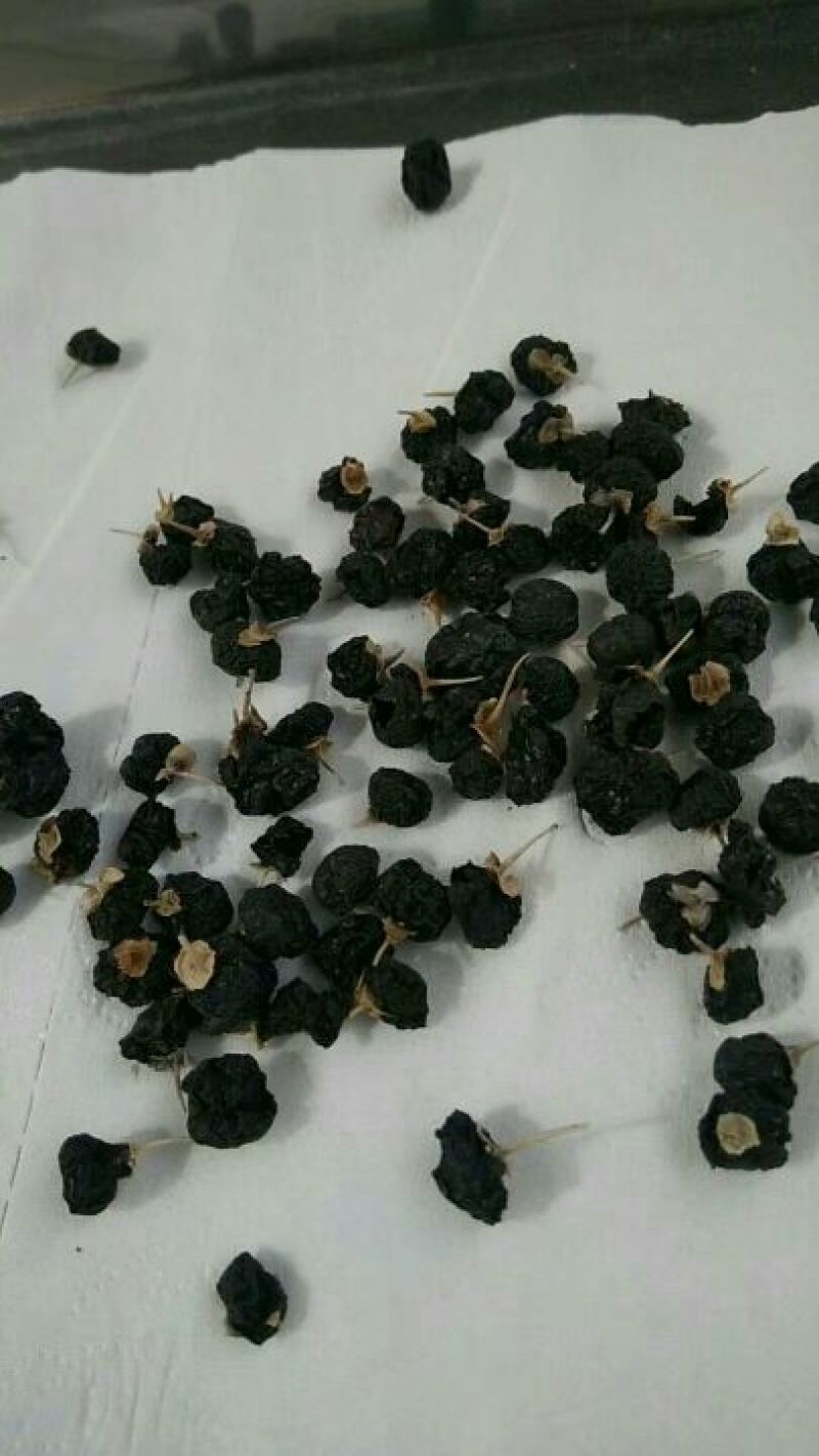 黑枸杞干货头茬
