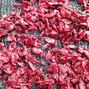 山芋肉