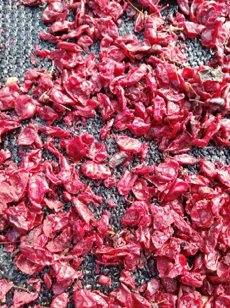 山芋肉