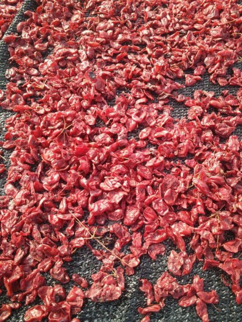 山芋肉