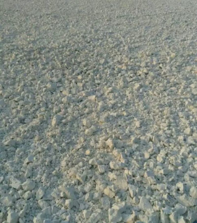 红薯淀粉散装