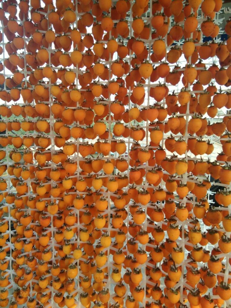 柿饼1~2两