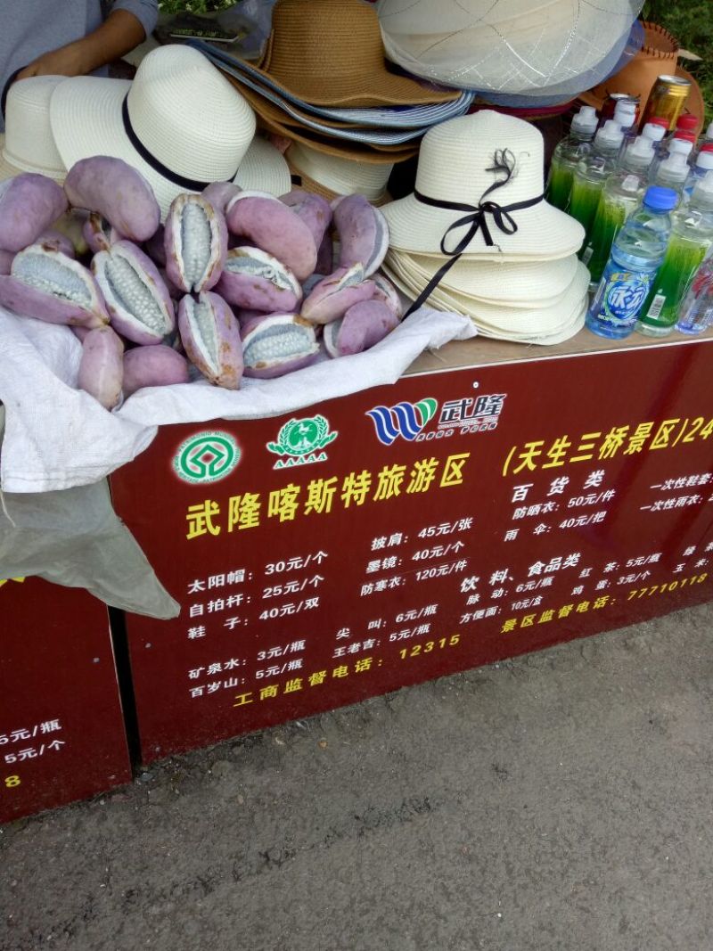 牛腰子果、狗腰子、八月炸、九月炸、通草果、熟庖八月瓜
