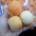 枇杷树苗白枇杷新品种