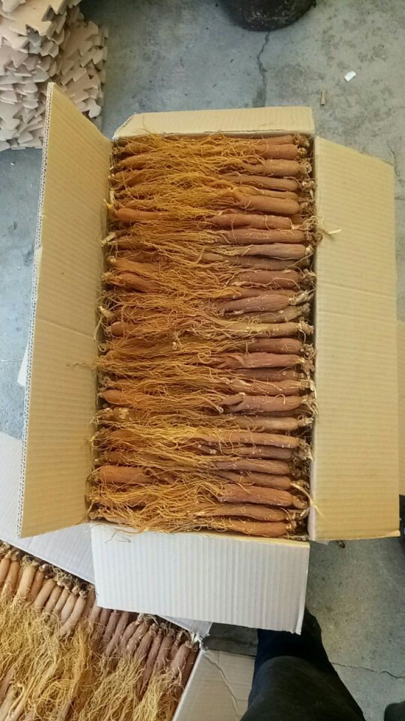 低糖红参条形好无硫磺圆通包邮吉林直发，一件代发
