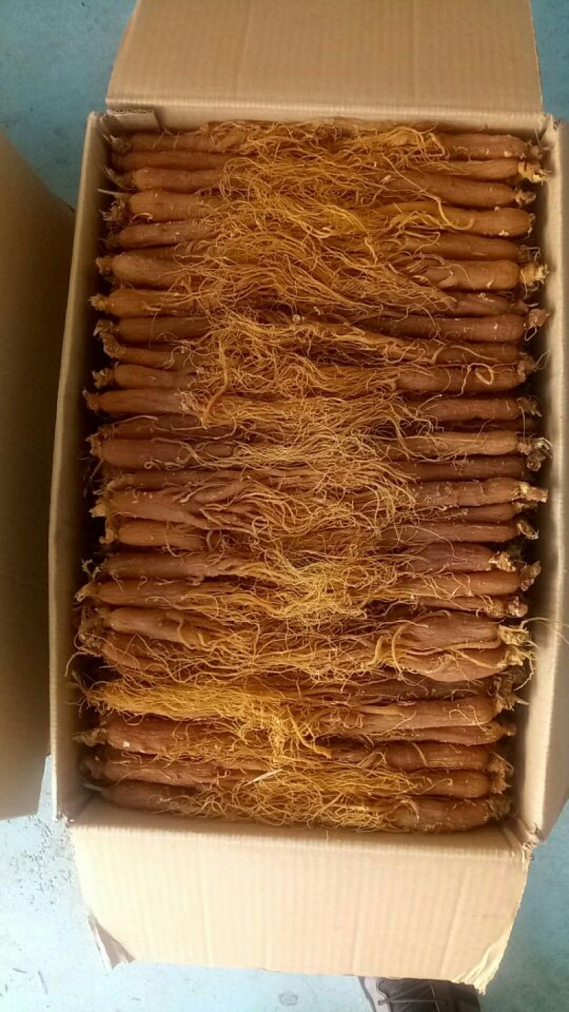低糖红参条形好无硫磺圆通包邮吉林直发，一件代发