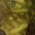 白萝卜3~3.5斤起