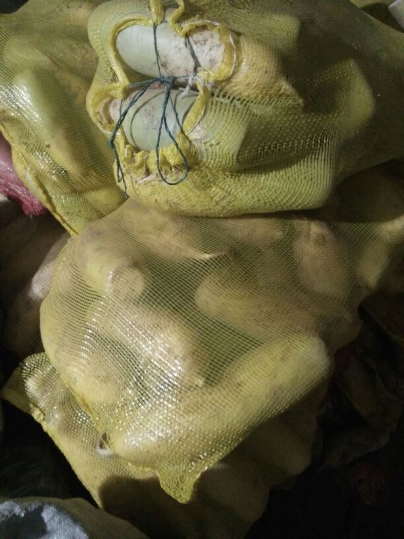 白萝卜3~3.5斤起