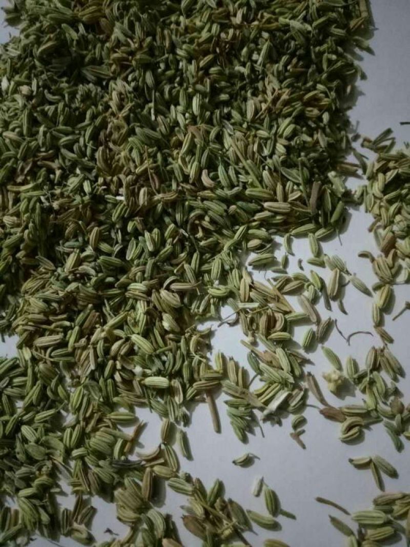 茴香籽