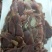 五香驴肉