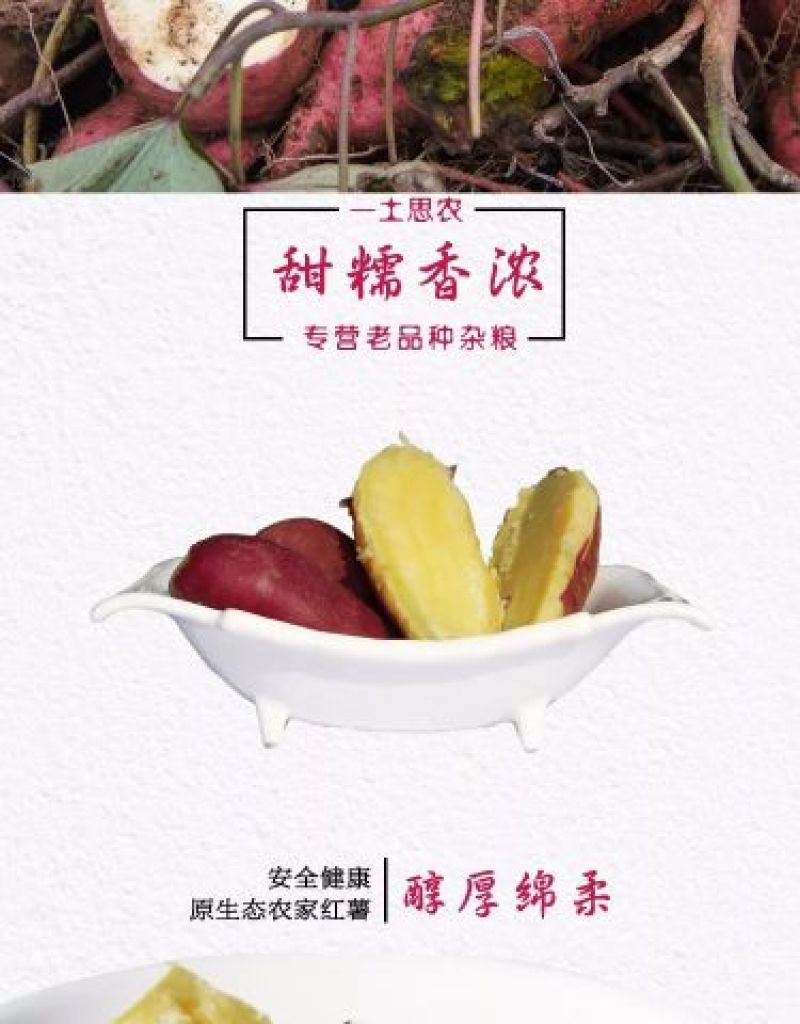 红薯商品薯红心3两以上