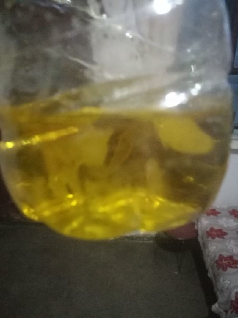 油菜籽1级