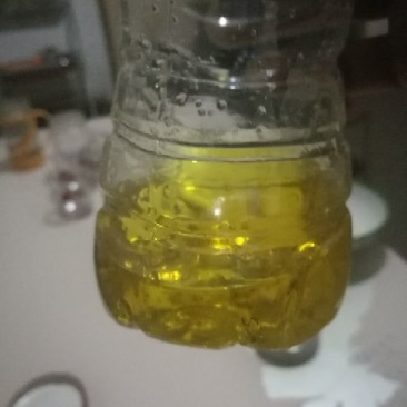 油菜籽1级