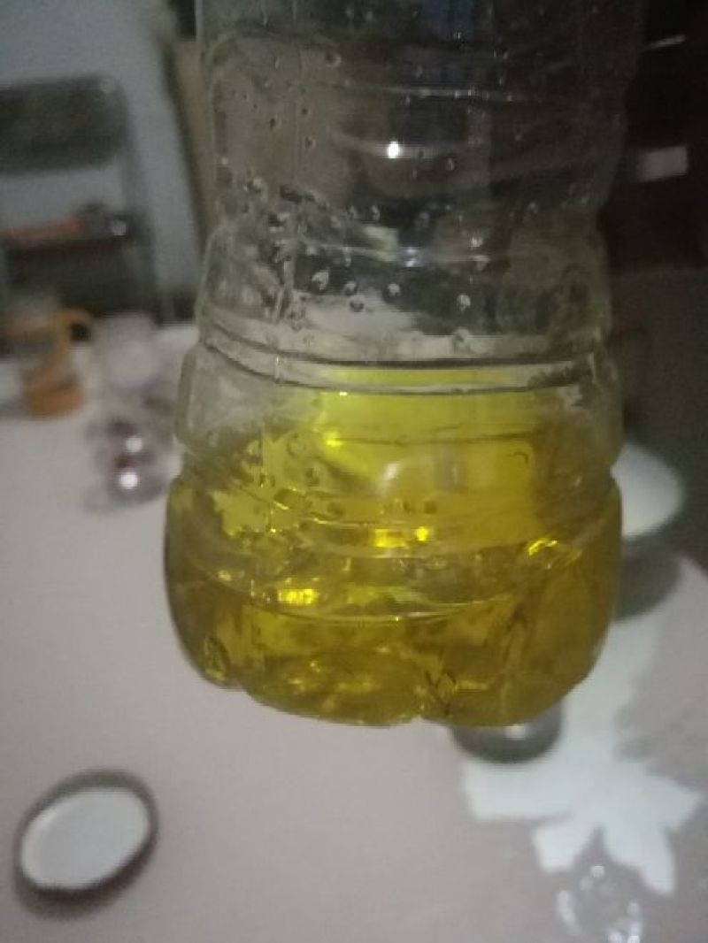 油菜籽1级