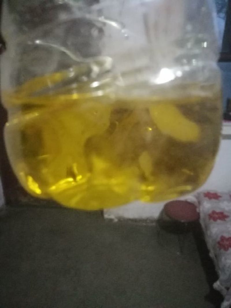 油菜籽1级