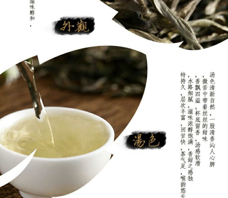 云南大叶种普洱茶生茶（500克一盒）乔木