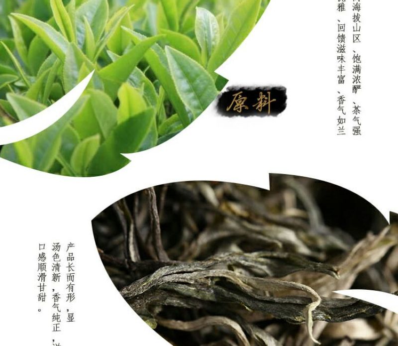 云南大叶种普洱茶生茶（500克一盒）乔木