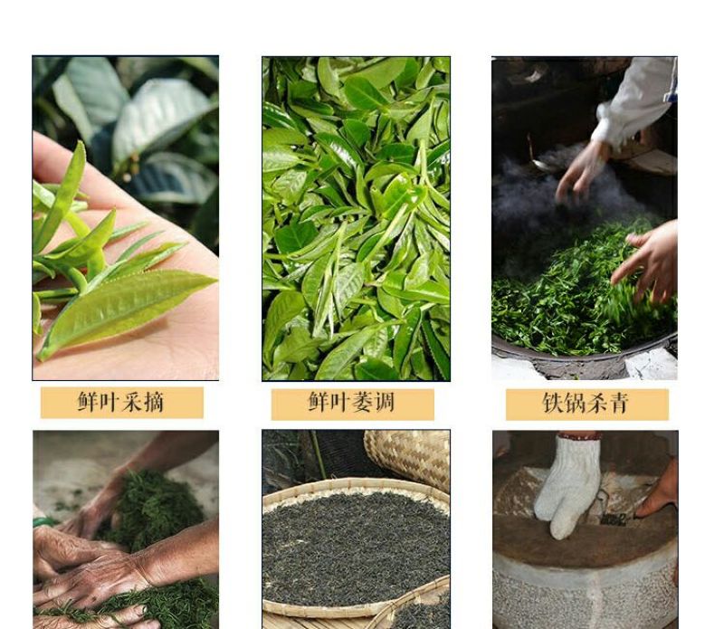 云南大叶种普洱茶生茶（500克一盒）乔木