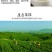 云南大叶种普洱茶生茶（500克一盒）乔木