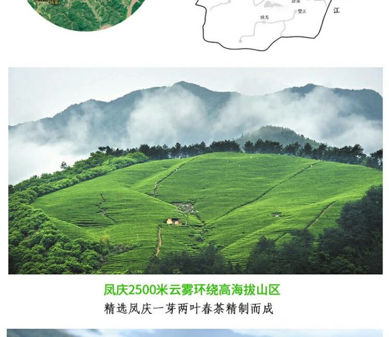 云南大叶种普洱茶生茶（500克一盒）乔木