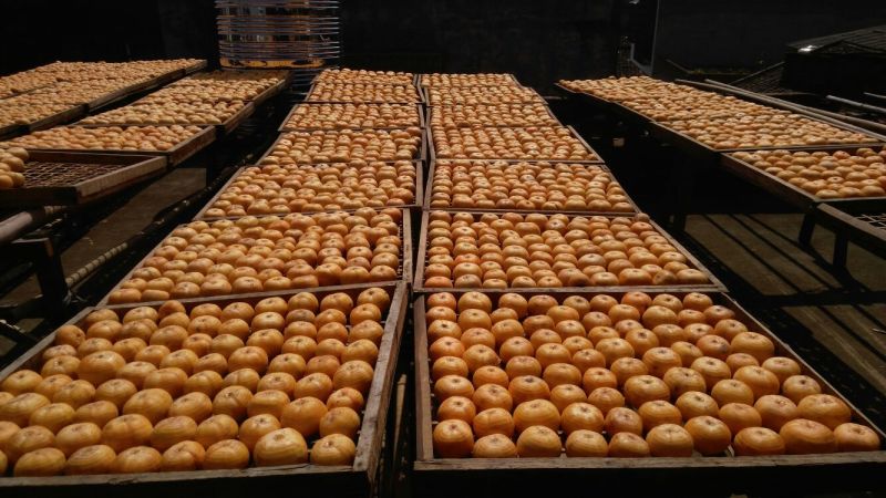 柿饼1~2两