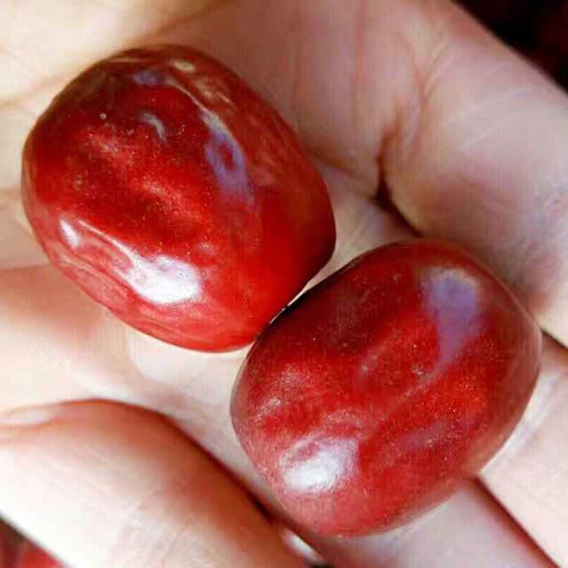 板枣干枣特级