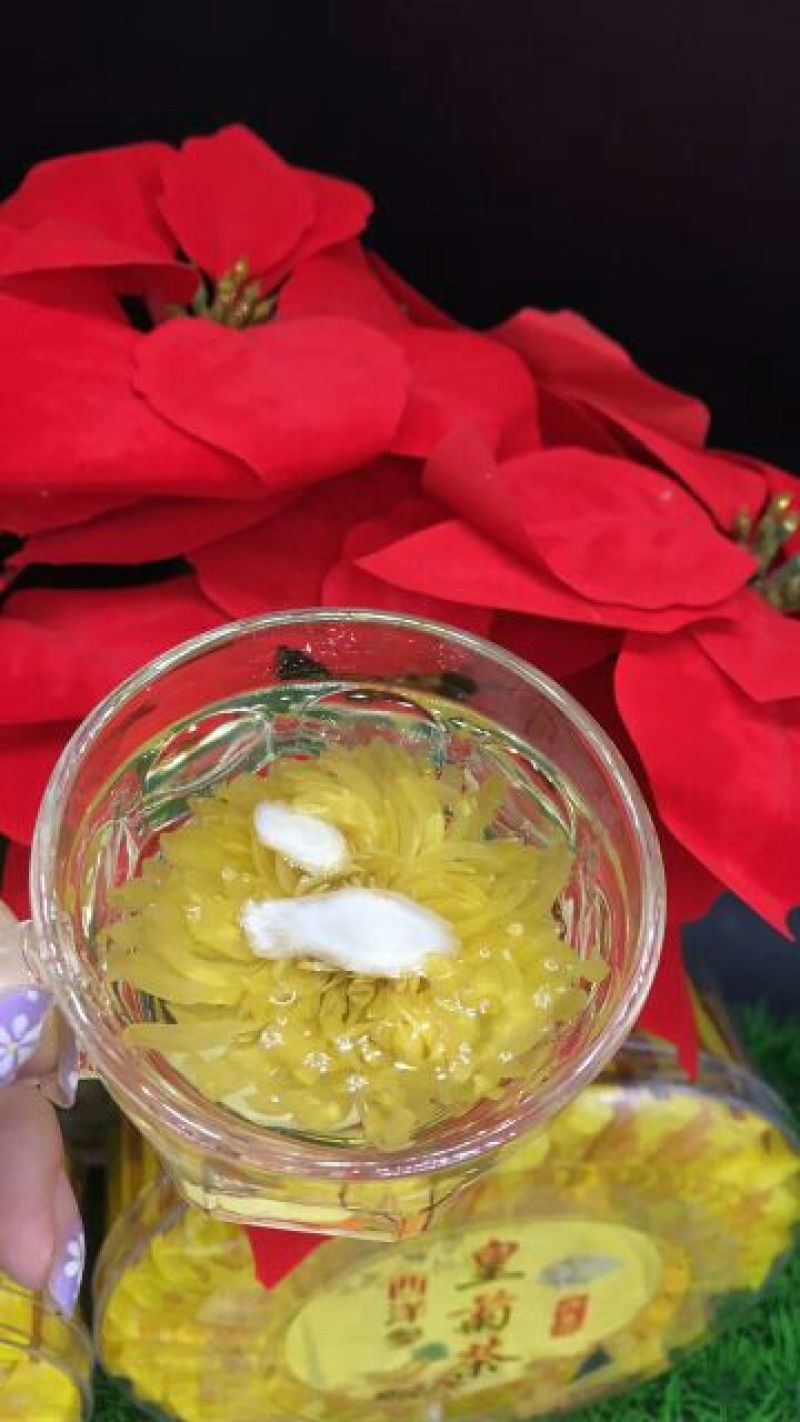 菊花茶特级