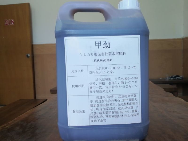 牛大力种苗15~30cm
