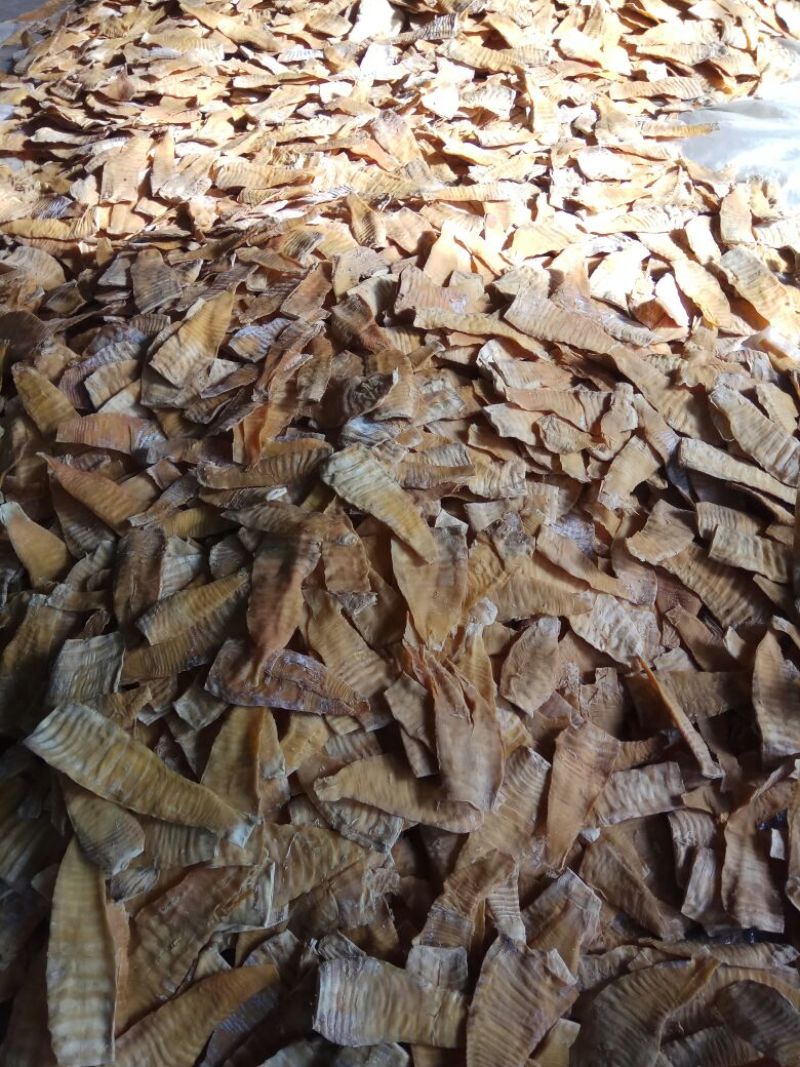 水煮笋干淡笋干