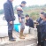 鲫鱼野生丹江鲫鱼