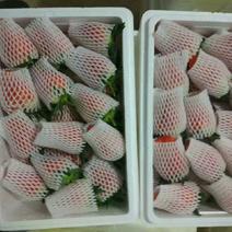 甜宝草莓40~50克